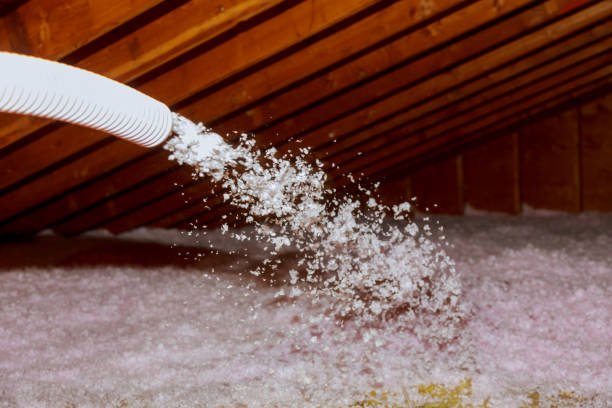 Best Insulation for Specific Applications in Hill N Dale, FL