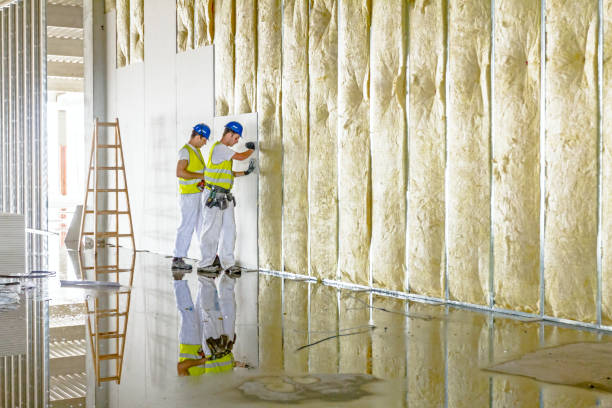 Best Insulation for Specific Applications in Hill N Dale, FL
